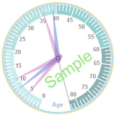 Sample Family Age Clock showing mom, dad, and their 3 kids