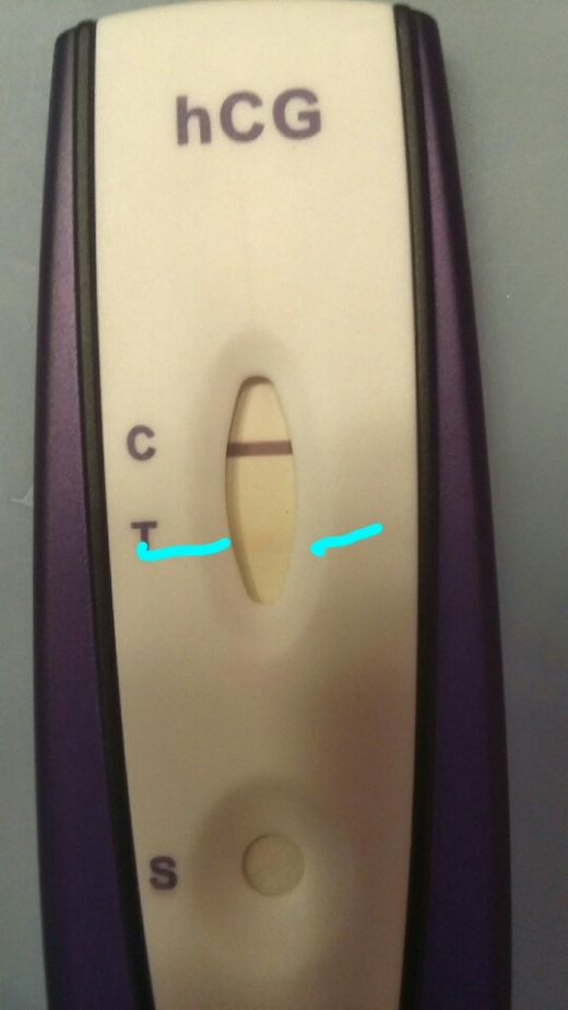 Generic Pregnancy Test, Cycle Day 39
