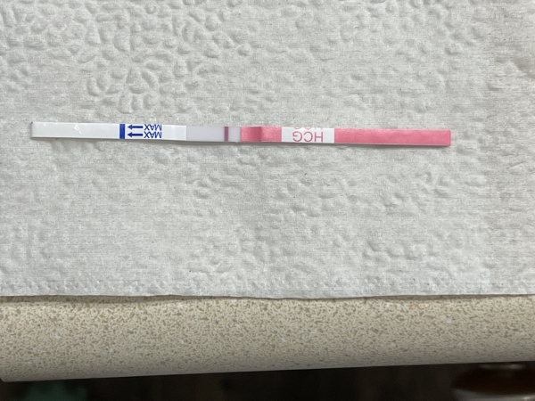 Clinical Guard Pregnancy Test, 10 Days Post Ovulation, FMU
