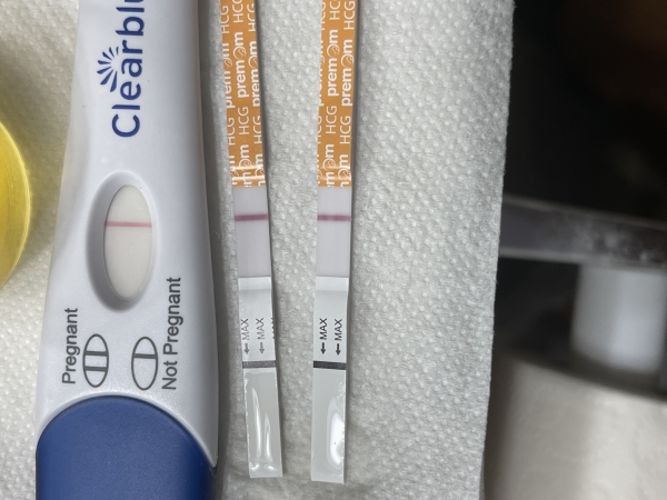 Generic Pregnancy Test, 13 Days Post Ovulation