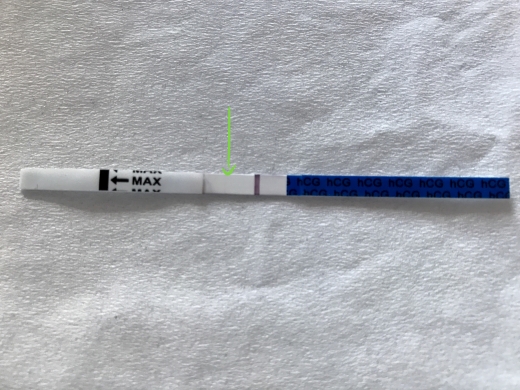 Home Pregnancy Test, 10 Days Post Ovulation, FMU, Cycle Day 28