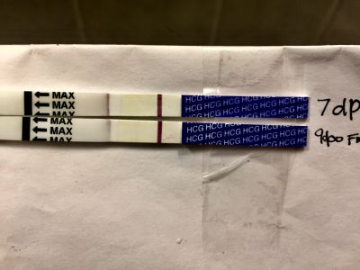 Generic Pregnancy Test, 9 Days Post Ovulation, FMU, Cycle Day 35