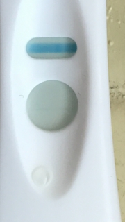 Home Pregnancy Test, Cycle Day 27