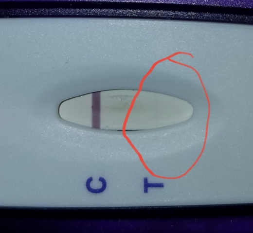 Generic Pregnancy Test, 8 Days Post Ovulation, Cycle Day 32