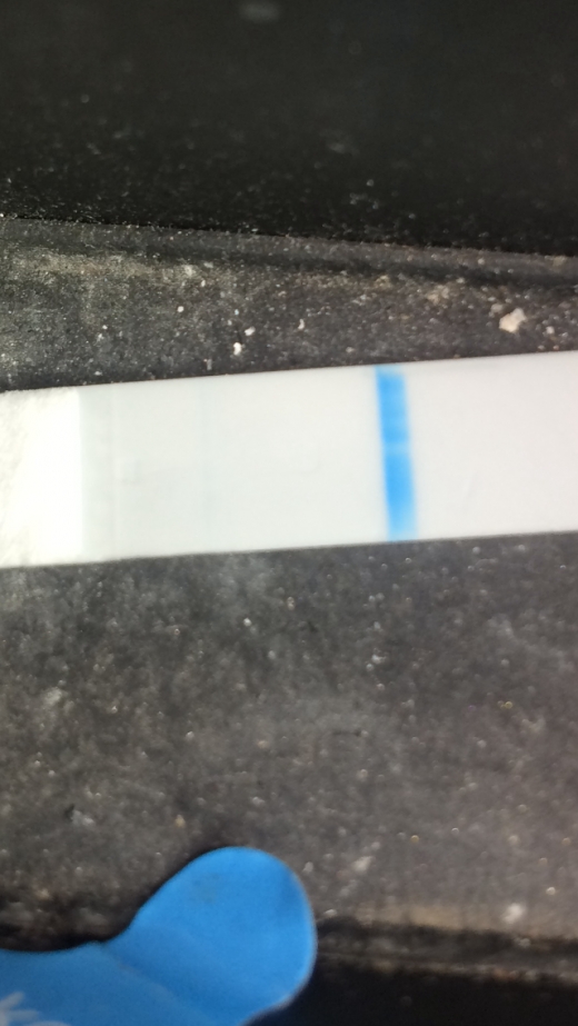 Equate Pregnancy Test, 15 Days Post Ovulation, Cycle Day 33