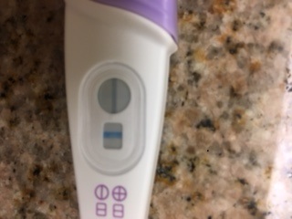 e.p.t. Pregnancy Test, 11 Days Post Ovulation