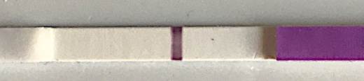 Generic Pregnancy Test, 8 Days Post Ovulation, Cycle Day 26