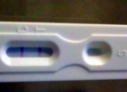 New Choice (Dollar Tree) Pregnancy Test, 14 Days Post Ovulation, FMU, Cycle Day 29