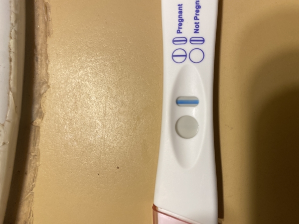 Equate Pregnancy Test, Cycle Day 20