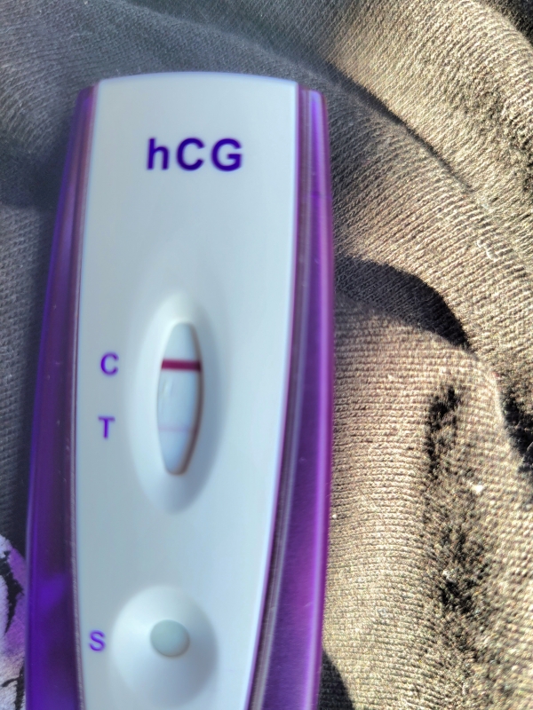 Equate Pregnancy Test, 10 Days Post Ovulation, Cycle Day 31