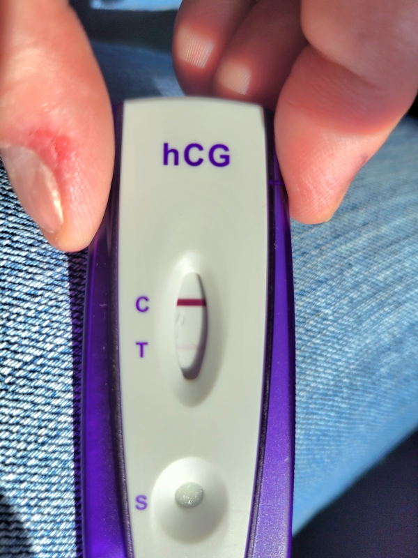 Equate Pregnancy Test