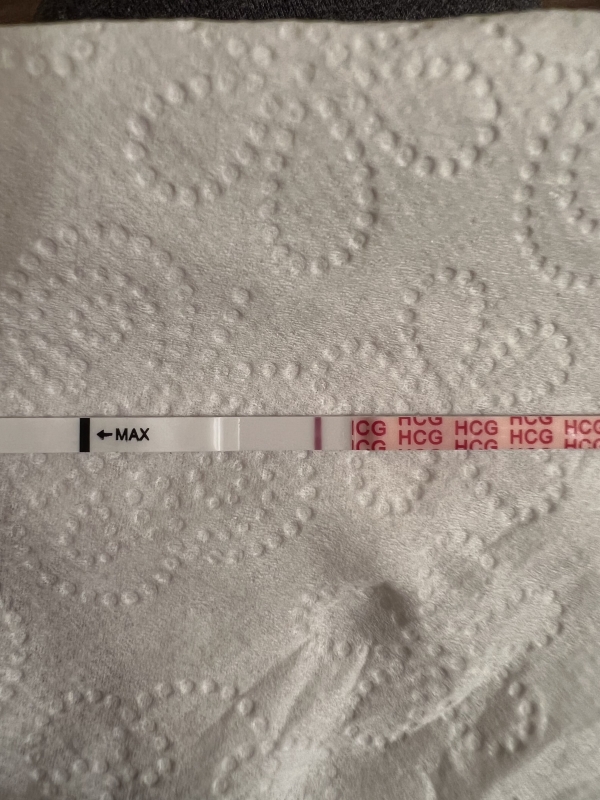 Wondfo Test Strips Pregnancy Test, 10 Days Post Ovulation