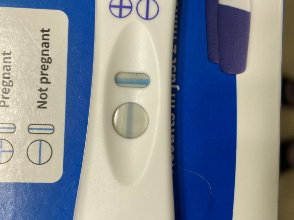 Walgreens One Step Pregnancy Test, Cycle Day 32