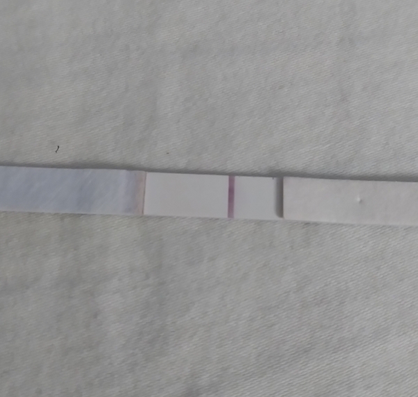 Generic Pregnancy Test, 8 Days Post Ovulation, FMU, Cycle Day 23