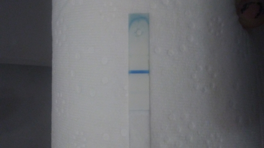 Generic Pregnancy Test, 8 Days Post Ovulation, Cycle Day 30