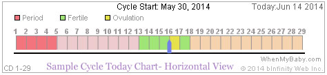 Calculate My Cycle Today