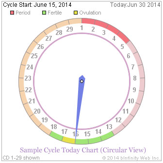 Cycle Today Chart - Timeline showing period, fertile days, follicular and luteal phases (Sample Circular View)
