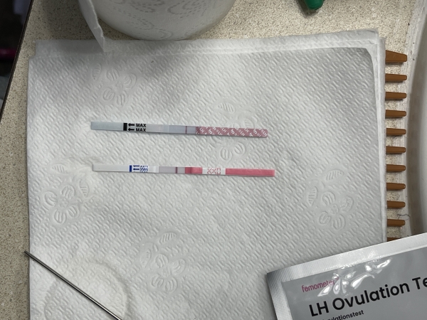 Ovulation Test