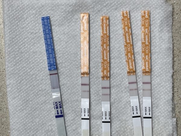 Generic Ovulation Test, Tested cycle day 12