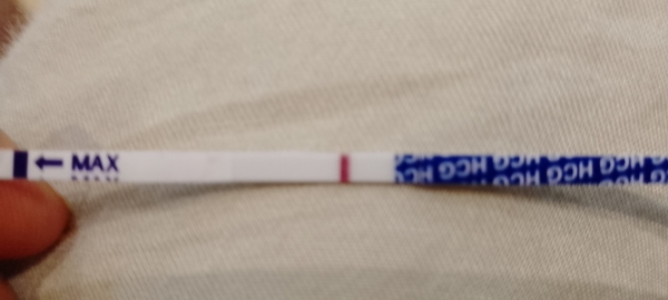 Ovulation Test