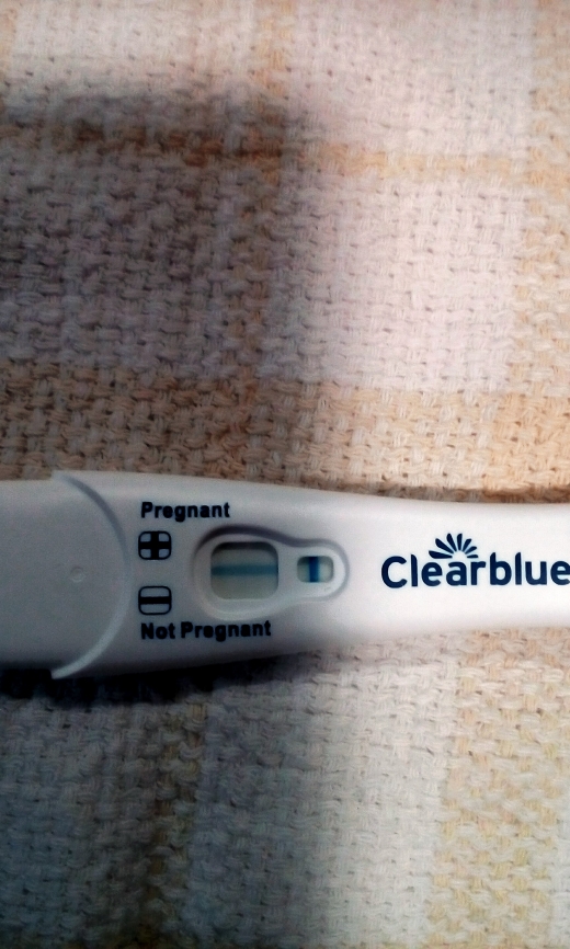 Clearblue Plus Pregnancy Test