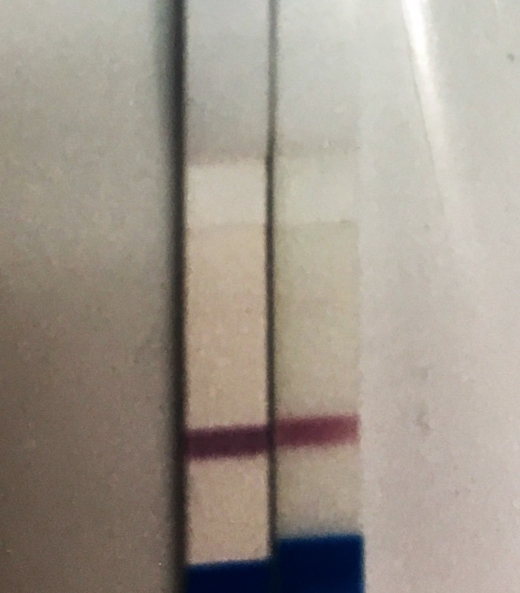 Generic Pregnancy Test, 10 Days Post Ovulation