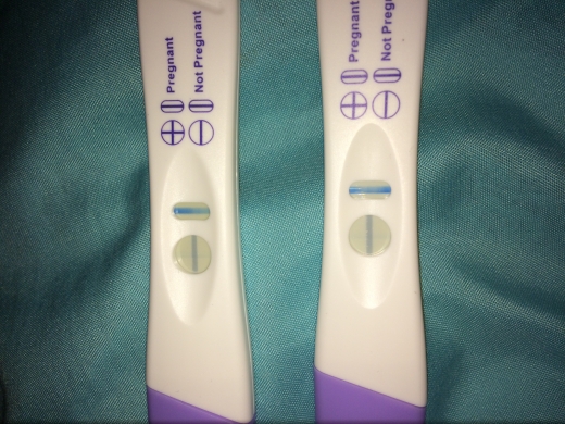 Home Pregnancy Test