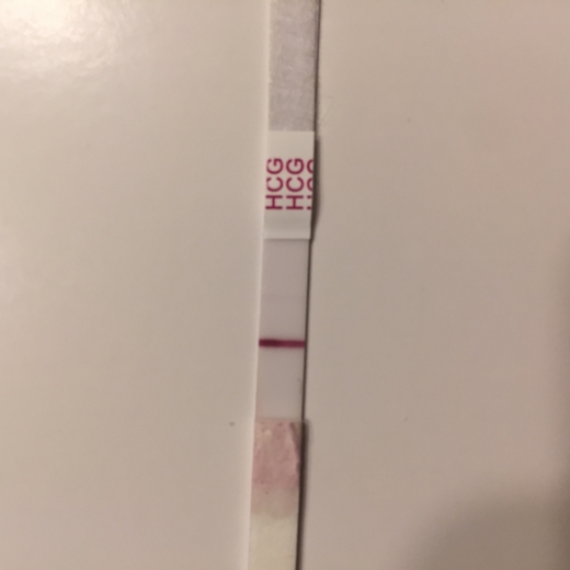 New Choice (Dollar Tree) Pregnancy Test, 14 Days Post Ovulation