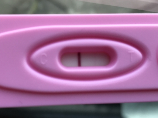 Home Pregnancy Test