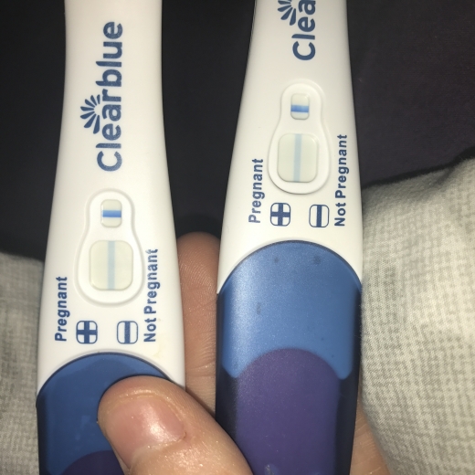 Clearblue Plus Pregnancy Test