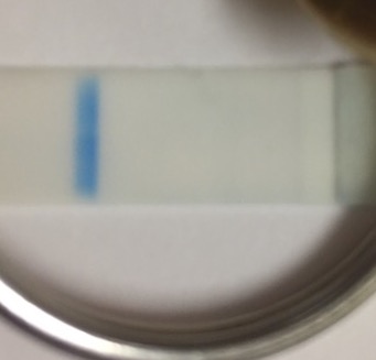 Generic Pregnancy Test