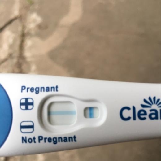 Clearblue Plus Pregnancy Test