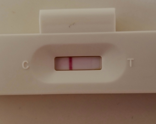 Home Pregnancy Test