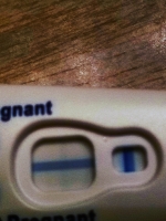 Clearblue Plus Pregnancy Test