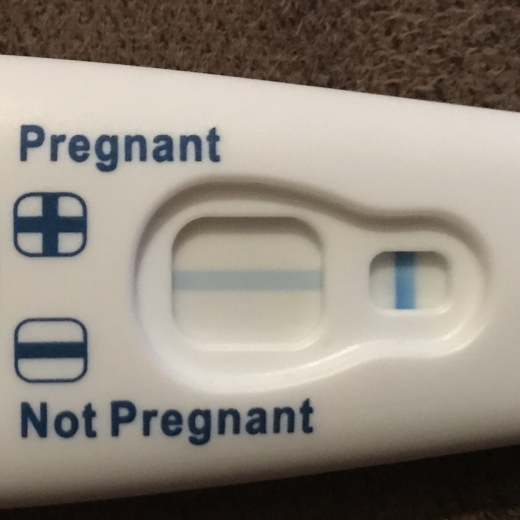 Home Pregnancy Test