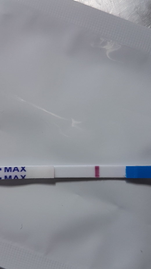 Home Pregnancy Test