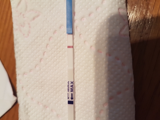 Home Pregnancy Test