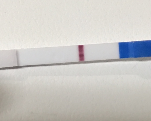 Home Pregnancy Test