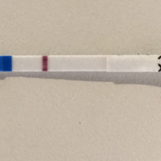 Home Pregnancy Test