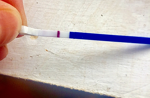 Generic Pregnancy Test