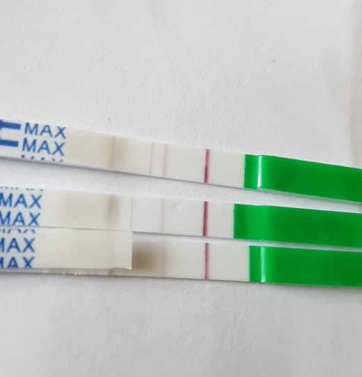 Answer Pregnancy Test, 10 Days Post Ovulation