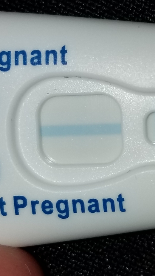 Home Pregnancy Test