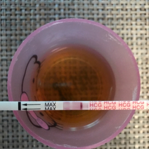 Generic Pregnancy Test, 6 Days Post Ovulation, FMU