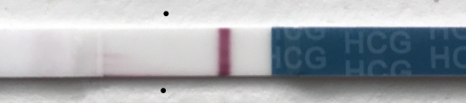 Generic Pregnancy Test