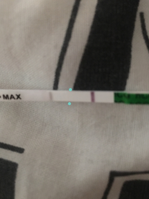 Home Pregnancy Test