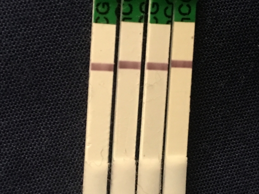 Home Pregnancy Test