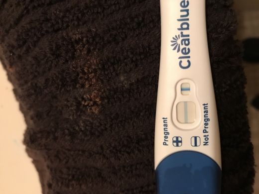 Home Pregnancy Test