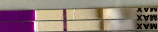 Generic Pregnancy Test, 8 Days Post Ovulation, Cycle Day 26