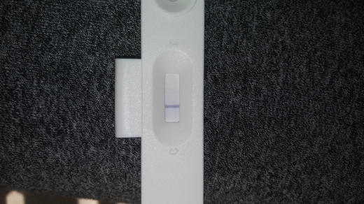 e.p.t. Pregnancy Test