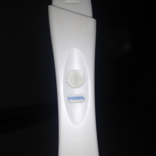 Home Pregnancy Test